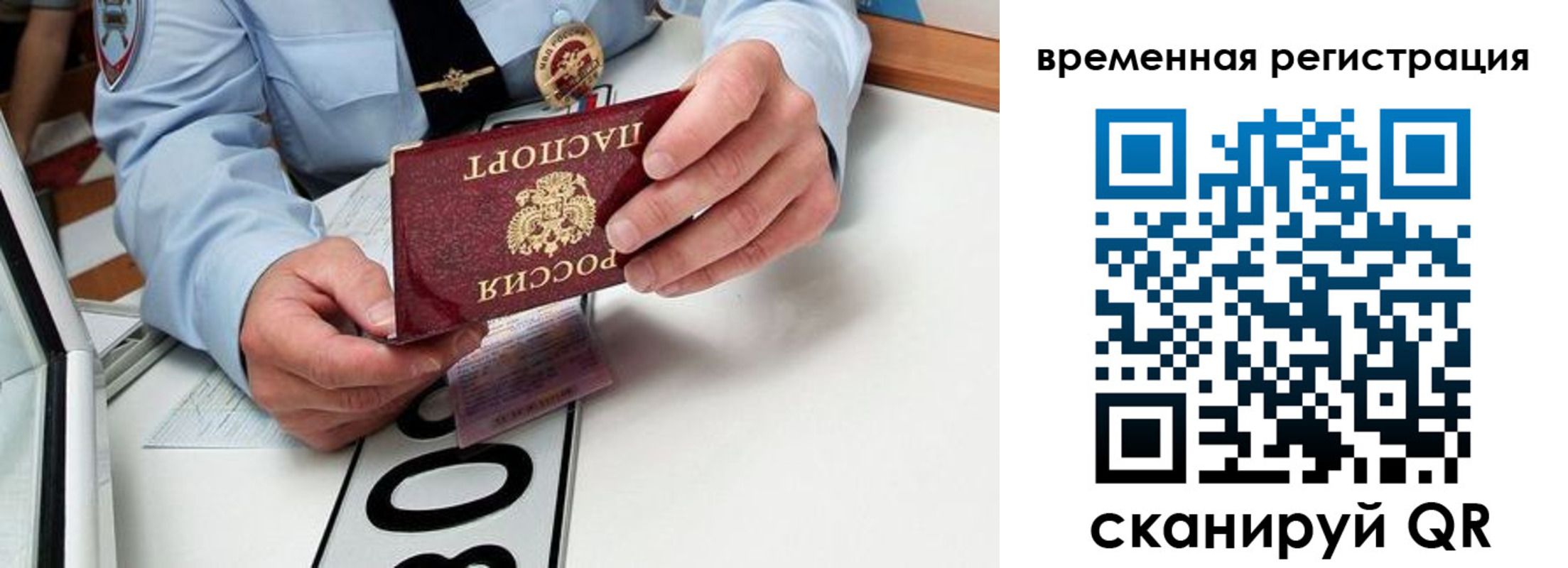 прописка гарантия в Сарапуле